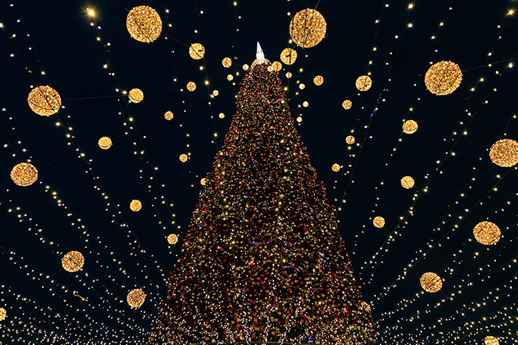 Christmas Lights